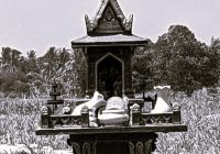 මොන ඇත්තද වැදගත්?